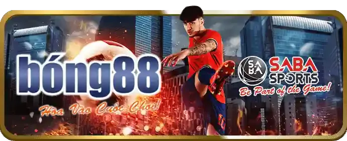 Trải nghiệm cá nhân hóa 8kbet8 nhà cái